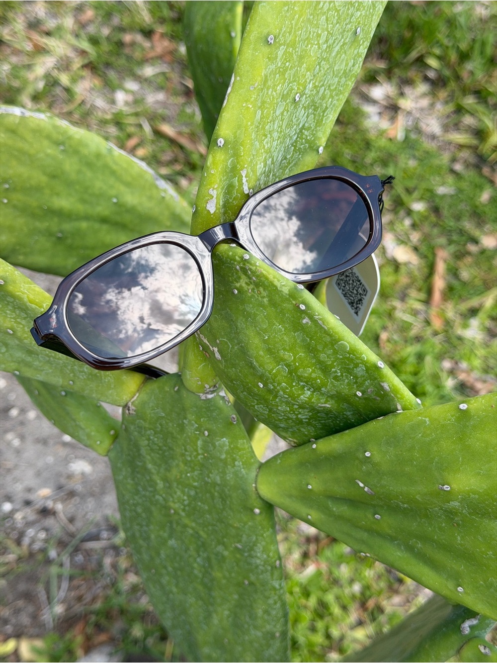 OTRA EYEWARE  Chocolate Sunglasses In Nia - Picture 11 of 14
